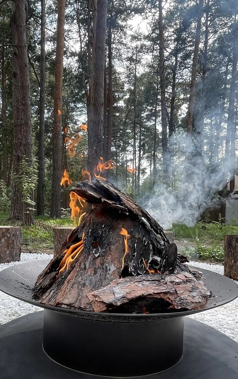 Горящий очаг на дровах